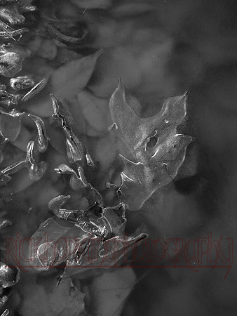 water series #23