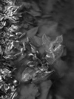 water series #26