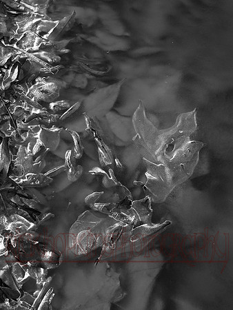water series #26
